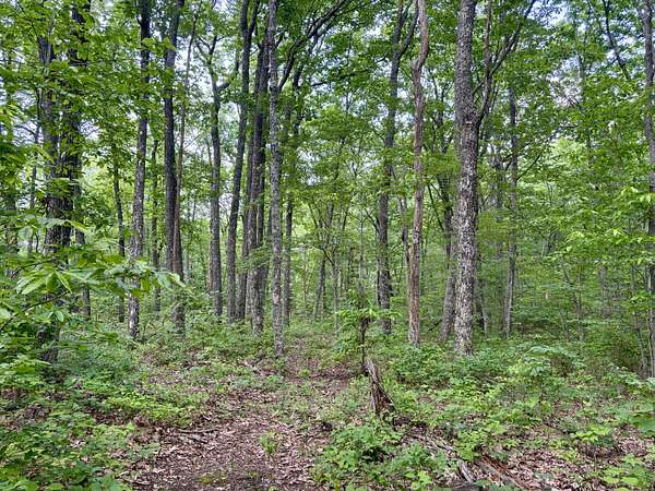18 Acres of Land for Sale in McMinnville, Tennessee