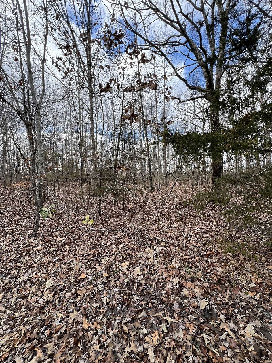 0.5 Acres of Residential Land for Sale in Beechgrove, Tennessee