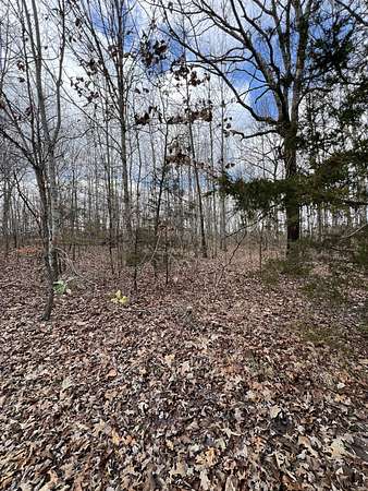0.5 Acres of Residential Land for Sale in Beechgrove, Tennessee
