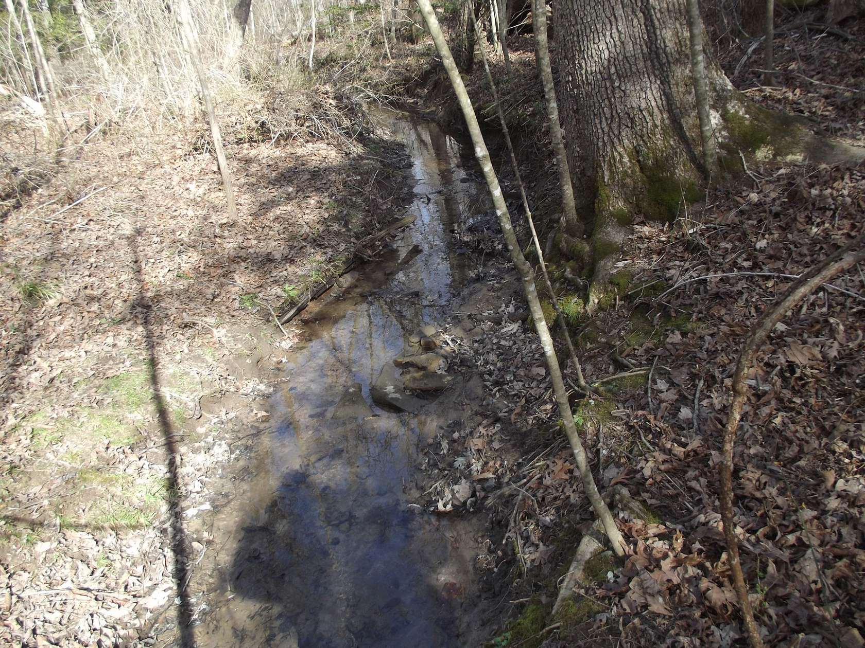 10.3 Acres of Land for Sale in Palmer, Tennessee