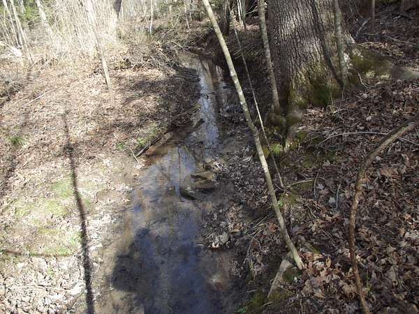 10.3 Acres of Land for Sale in Palmer, Tennessee