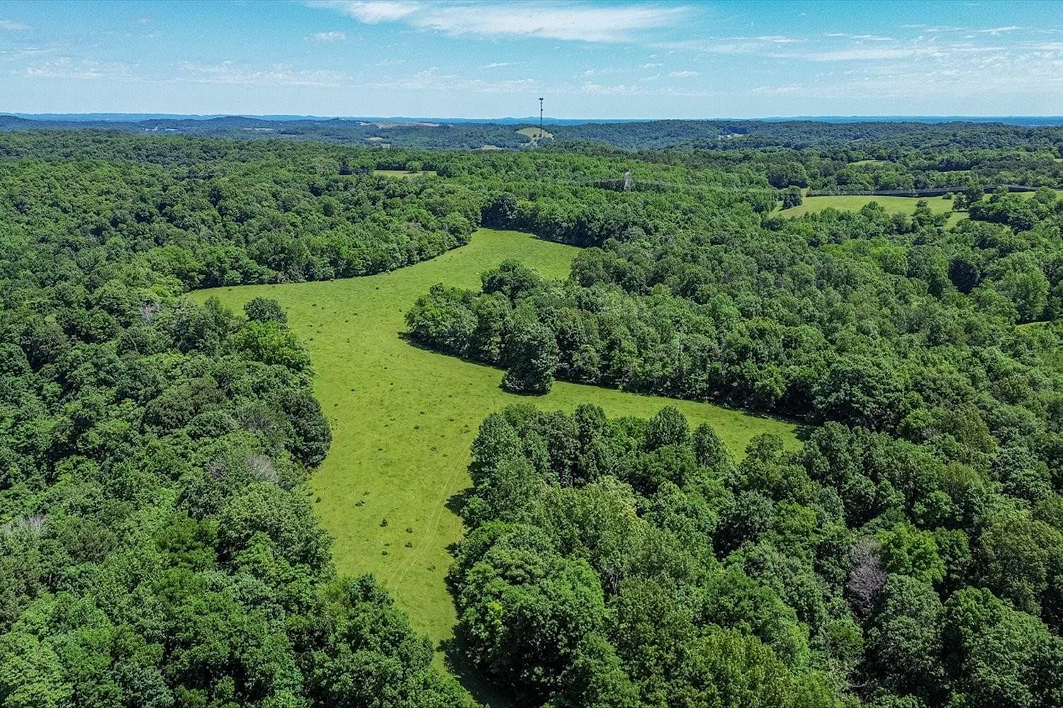44 Acres of Land for Sale in Cornersville, Tennessee