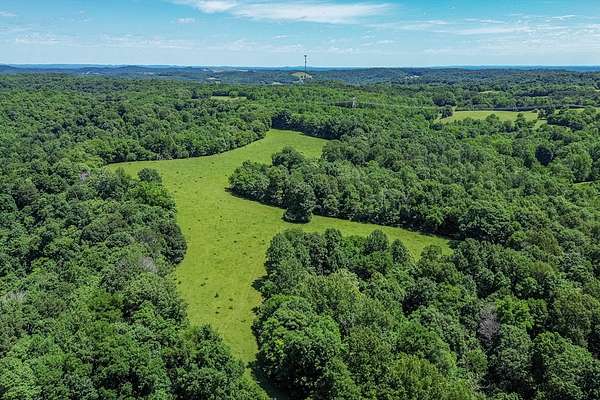 44 Acres of Land for Sale in Cornersville, Tennessee