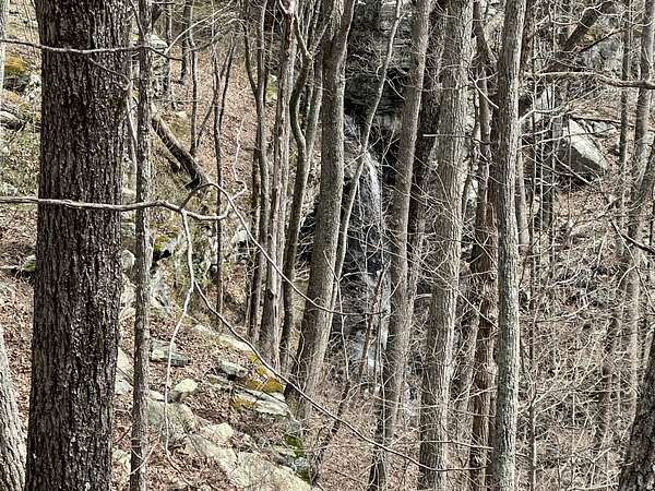 5.76 Acres of Residential Land for Sale in Altamont, Tennessee