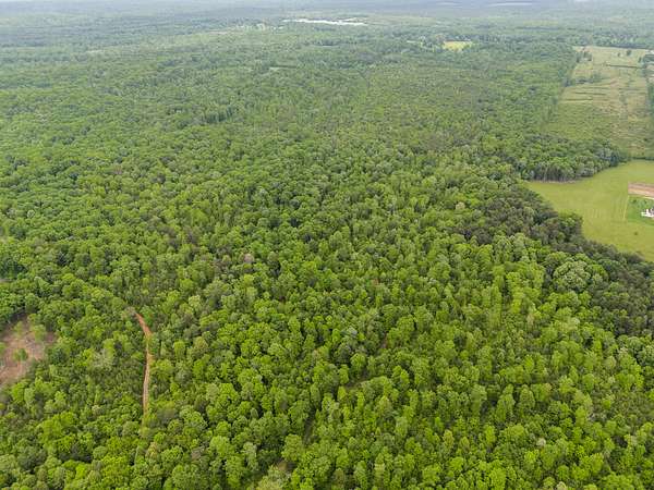 45 Acres of Recreational Land for Sale in Gruetli-Laager, Tennessee