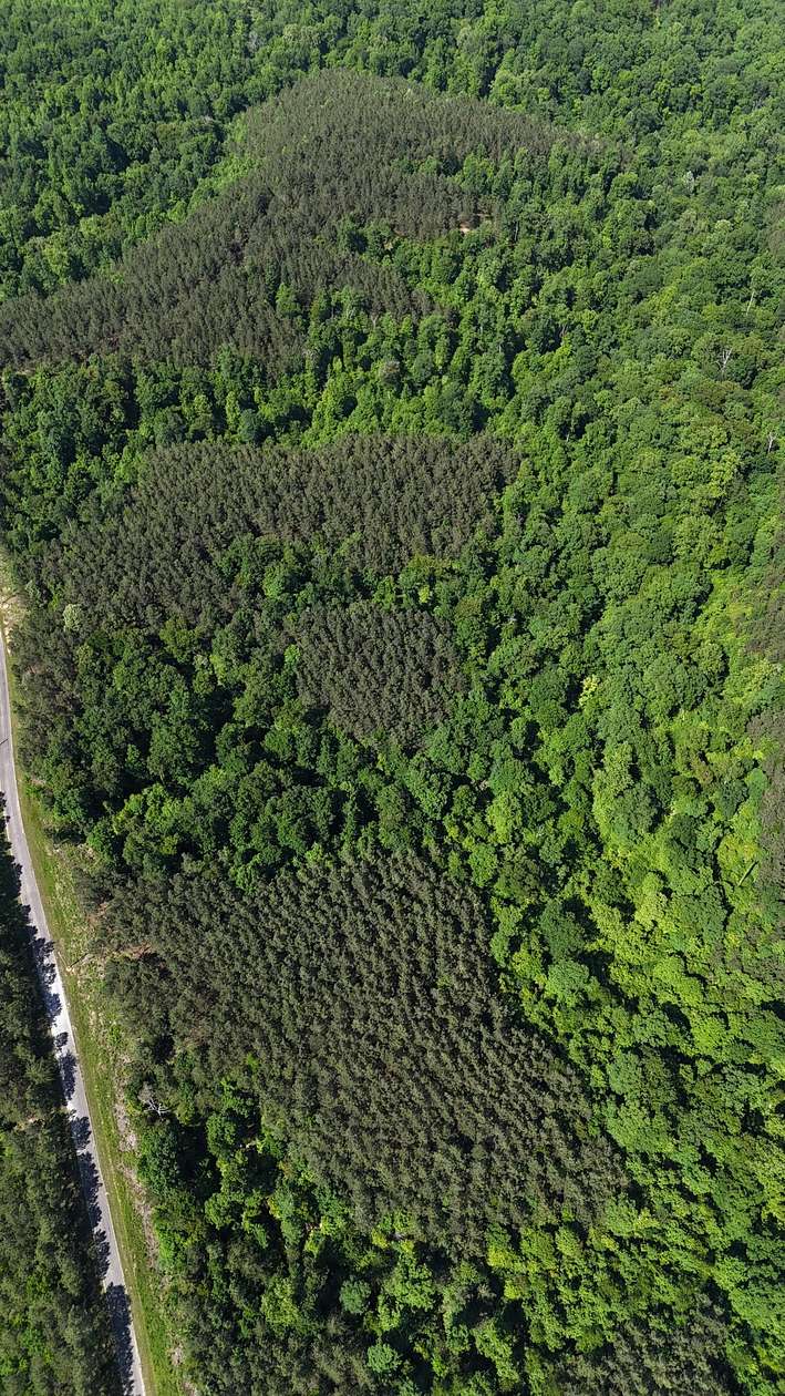 44 Acres of Recreational Land for Sale in Linden, Tennessee