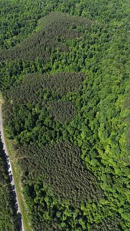 44 Acres of Recreational Land for Sale in Linden, Tennessee