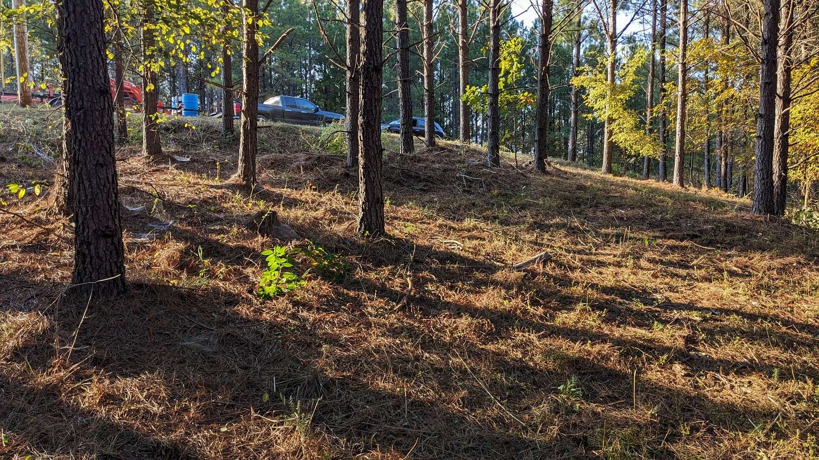 5 Acres of Residential Land for Sale in Linden, Tennessee