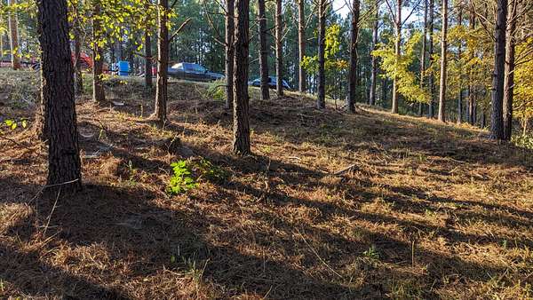 5 Acres of Residential Land for Sale in Linden, Tennessee