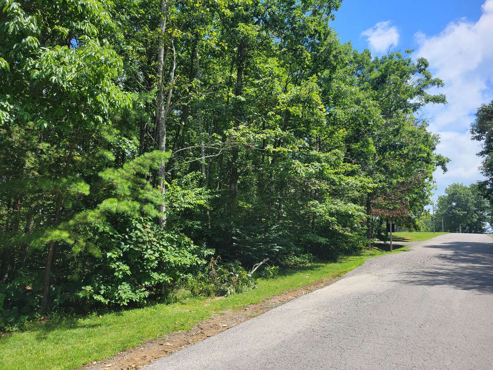 0.34 Acres of Residential Land for Sale in Rising Fawn, Georgia