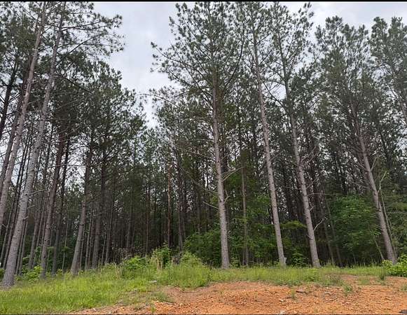 7 Acres of Residential Land for Sale in Hohenwald, Tennessee