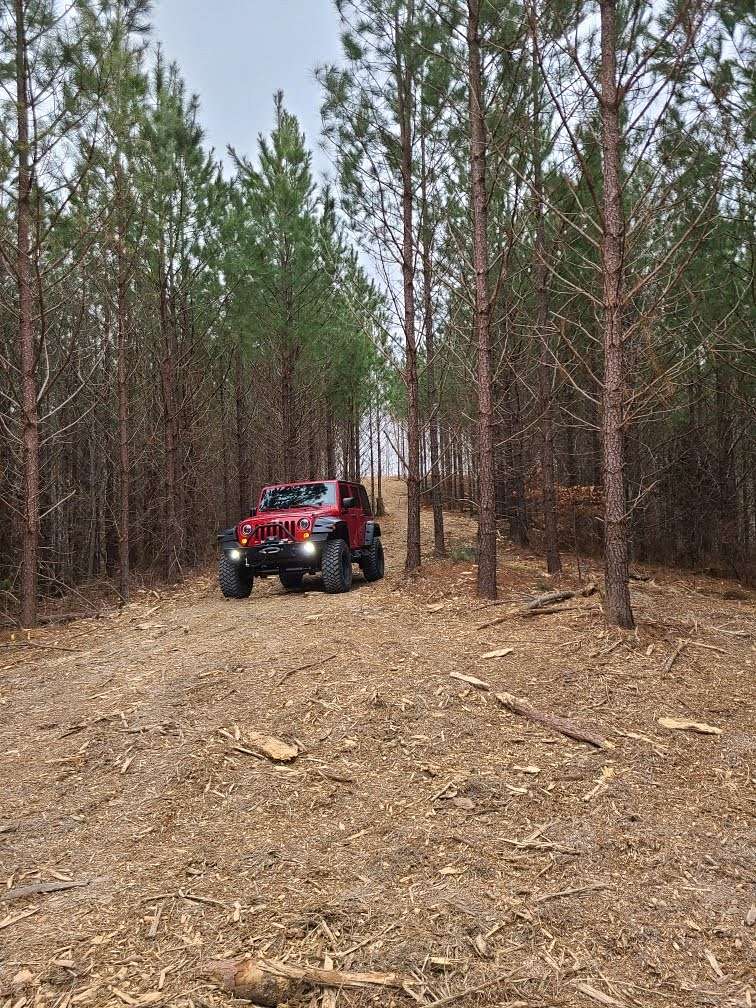 7.8 Acres of Residential Land for Sale in Linden, Tennessee