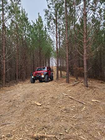 7.8 Acres of Residential Land for Sale in Linden, Tennessee