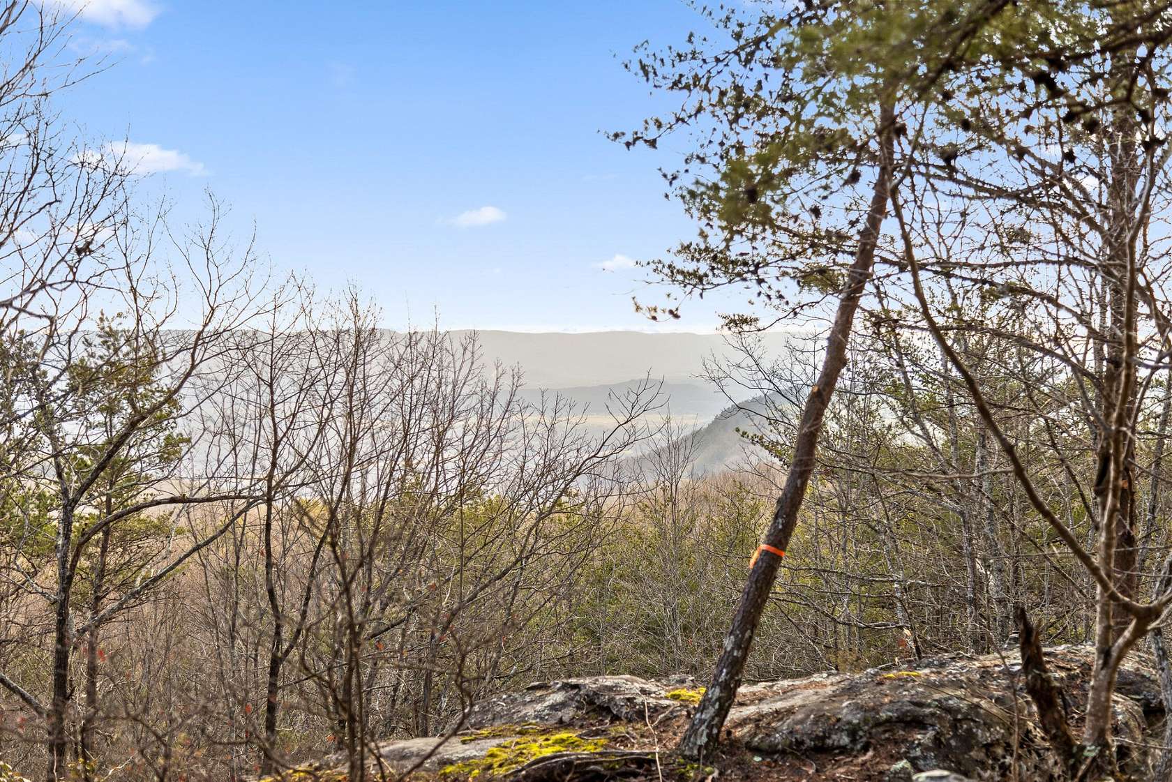 298 Acres of Land for Sale in Pikeville, Tennessee