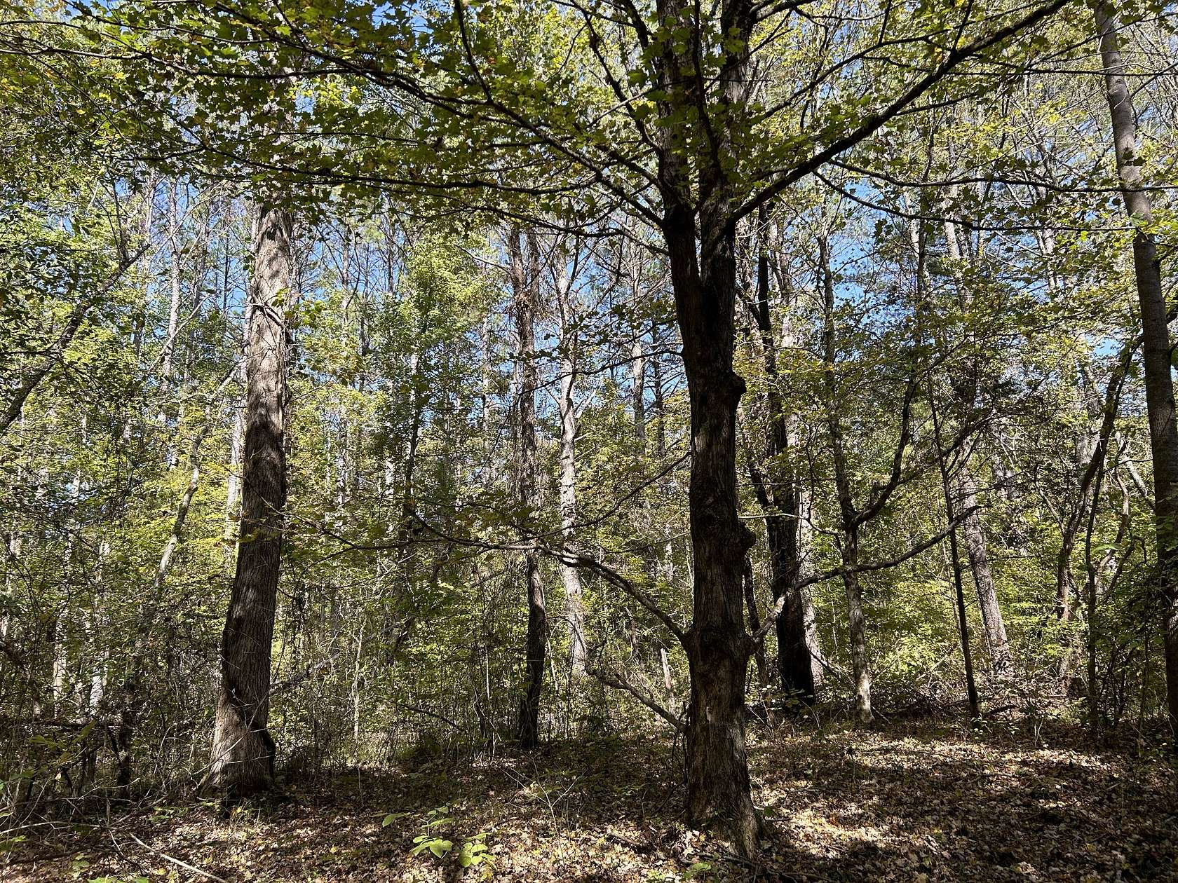 13.5 Acres of Recreational Land for Sale in Hohenwald, Tennessee