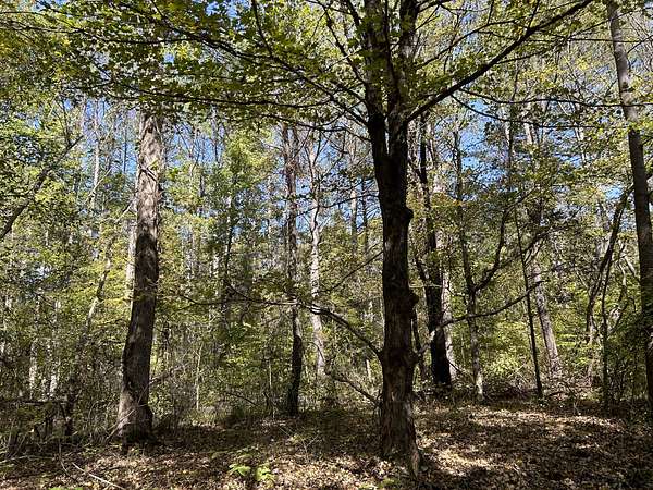 13.5 Acres of Recreational Land for Sale in Hohenwald, Tennessee