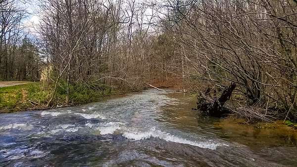 71.9 Acres of Recreational Land for Sale in Hohenwald, Tennessee