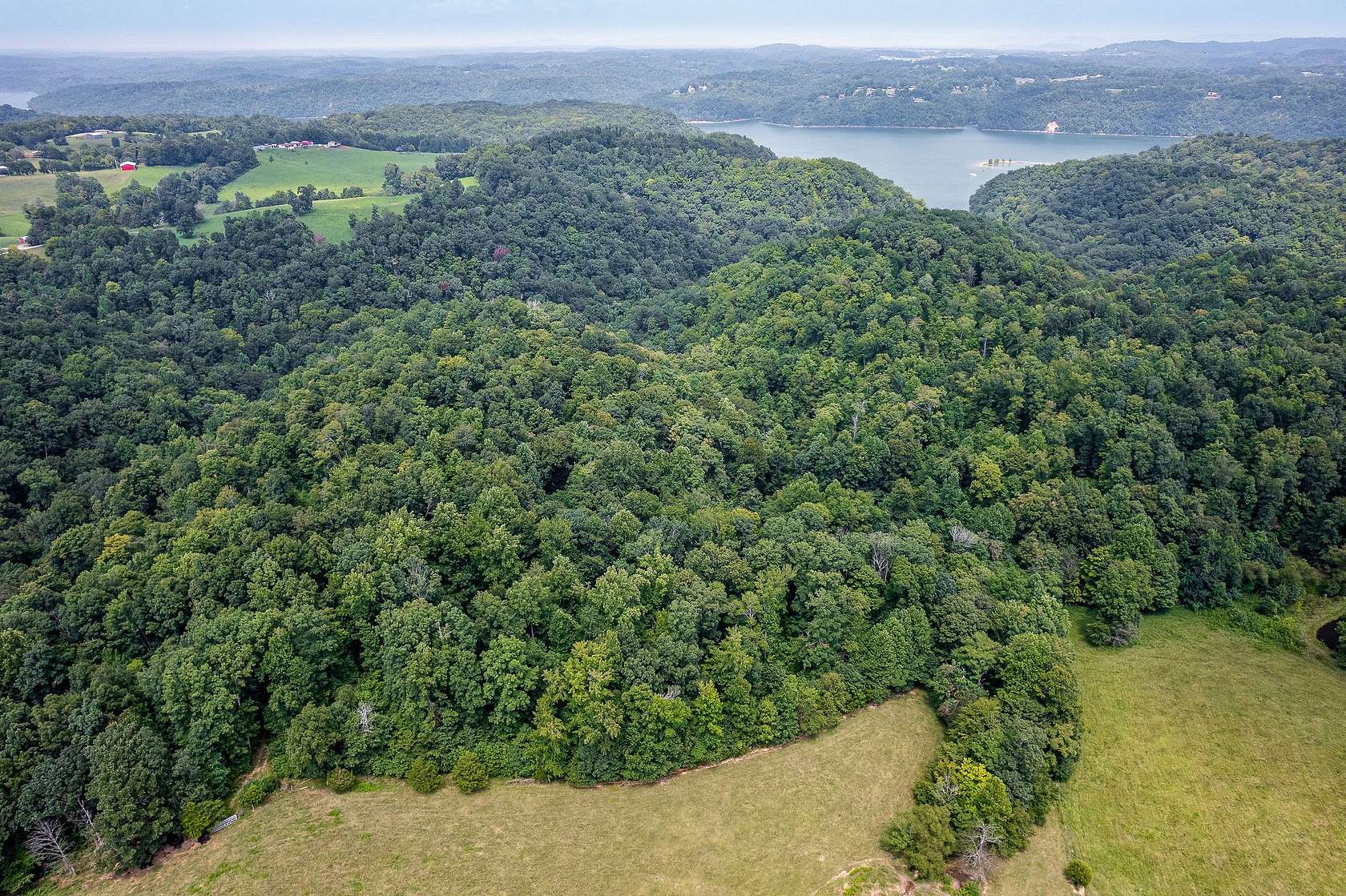 78.4 Acres of Recreational Land & Farm for Sale in Monroe, Tennessee