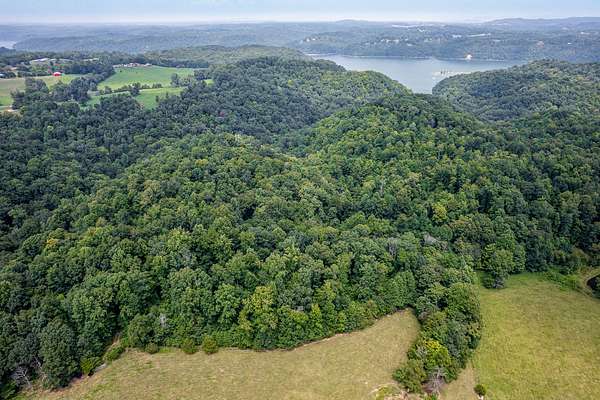 78.4 Acres of Recreational Land & Farm for Sale in Monroe, Tennessee