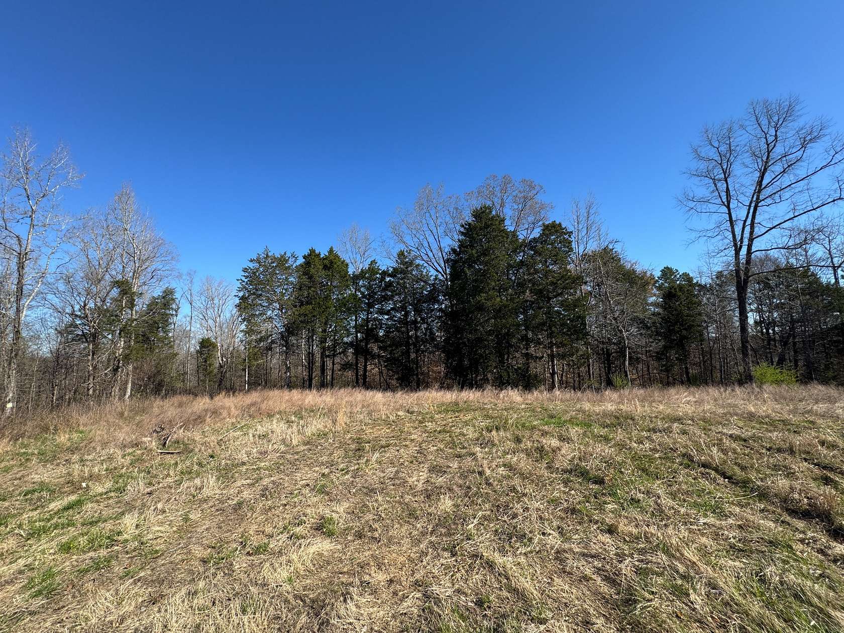 82.6 Acres of Recreational Land for Sale in Parsons, Tennessee