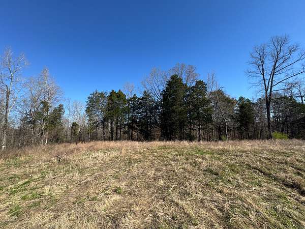 82.6 Acres of Recreational Land for Sale in Parsons, Tennessee