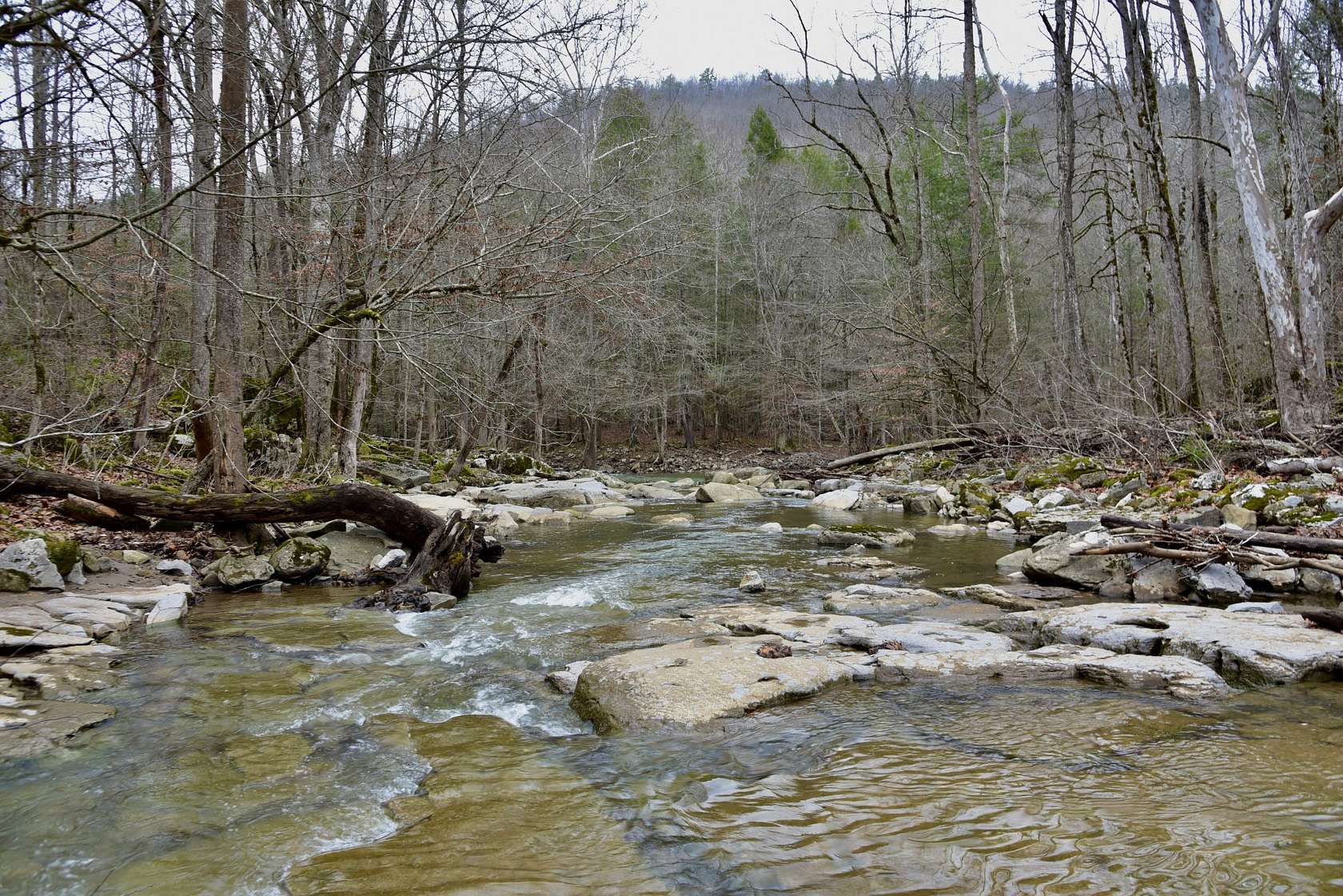 706 Acres of Land for Sale in Monterey, Tennessee