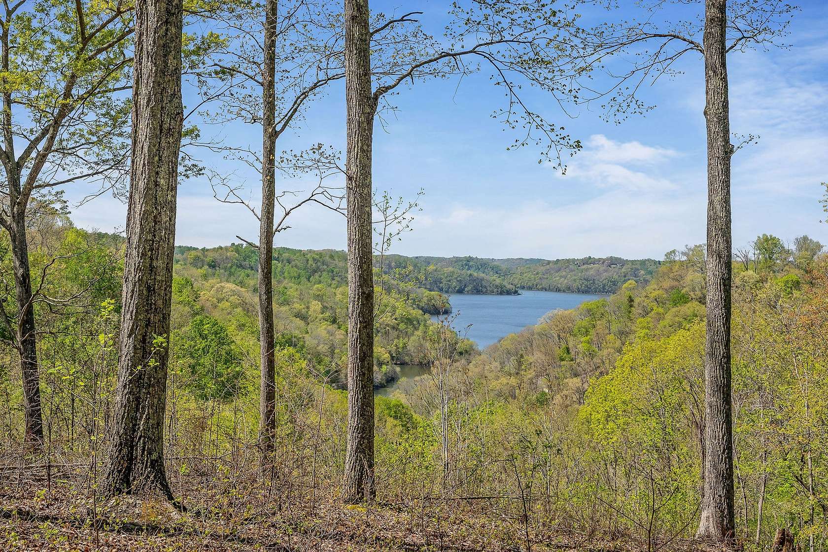 3.69 Acres of Residential Land for Sale in Sparta, Tennessee