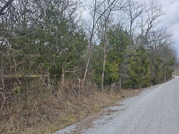 16.7 Acres of Recreational Land & Farm for Sale in Hampshire, Tennessee