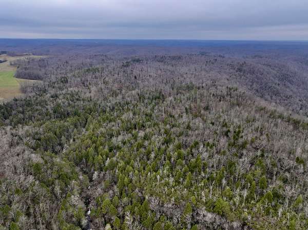 240 Acres of Land for Sale in Monterey, Tennessee