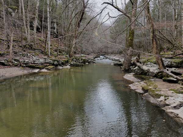 466 Acres of Land for Sale in Monterey, Tennessee