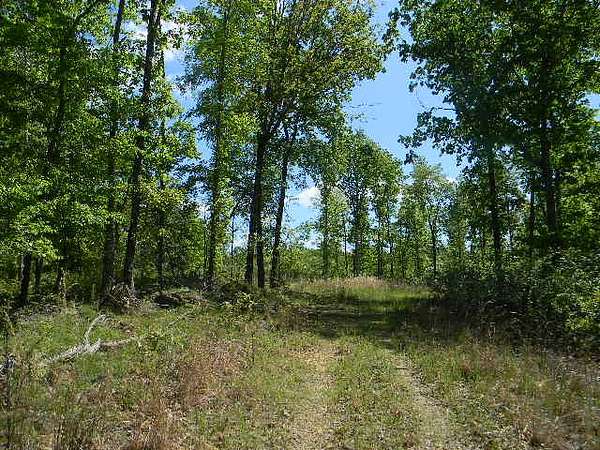 436 Acres of Land for Sale in Waverly, Tennessee