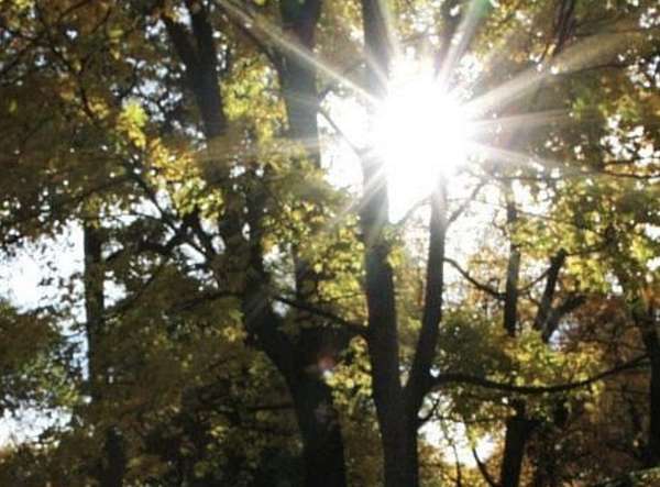 10 Acres of Land for Sale in Carthage, Tennessee