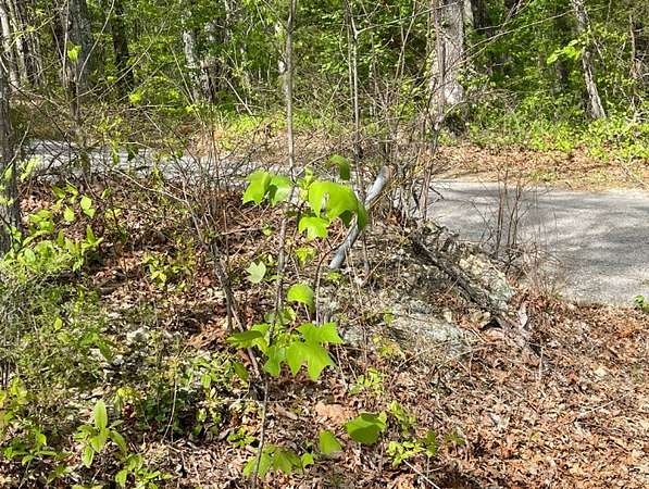 0.5 Acres of Residential Land for Sale in Smithville, Tennessee