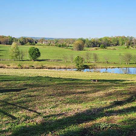 20 Acres of Land for Sale in Rock Island, Tennessee