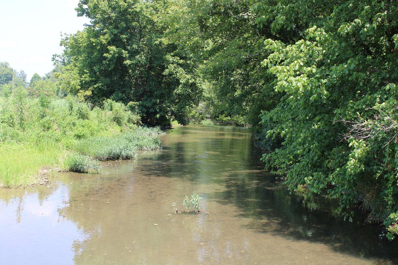 25 Acres of Land for Sale in Minor Hill, Tennessee