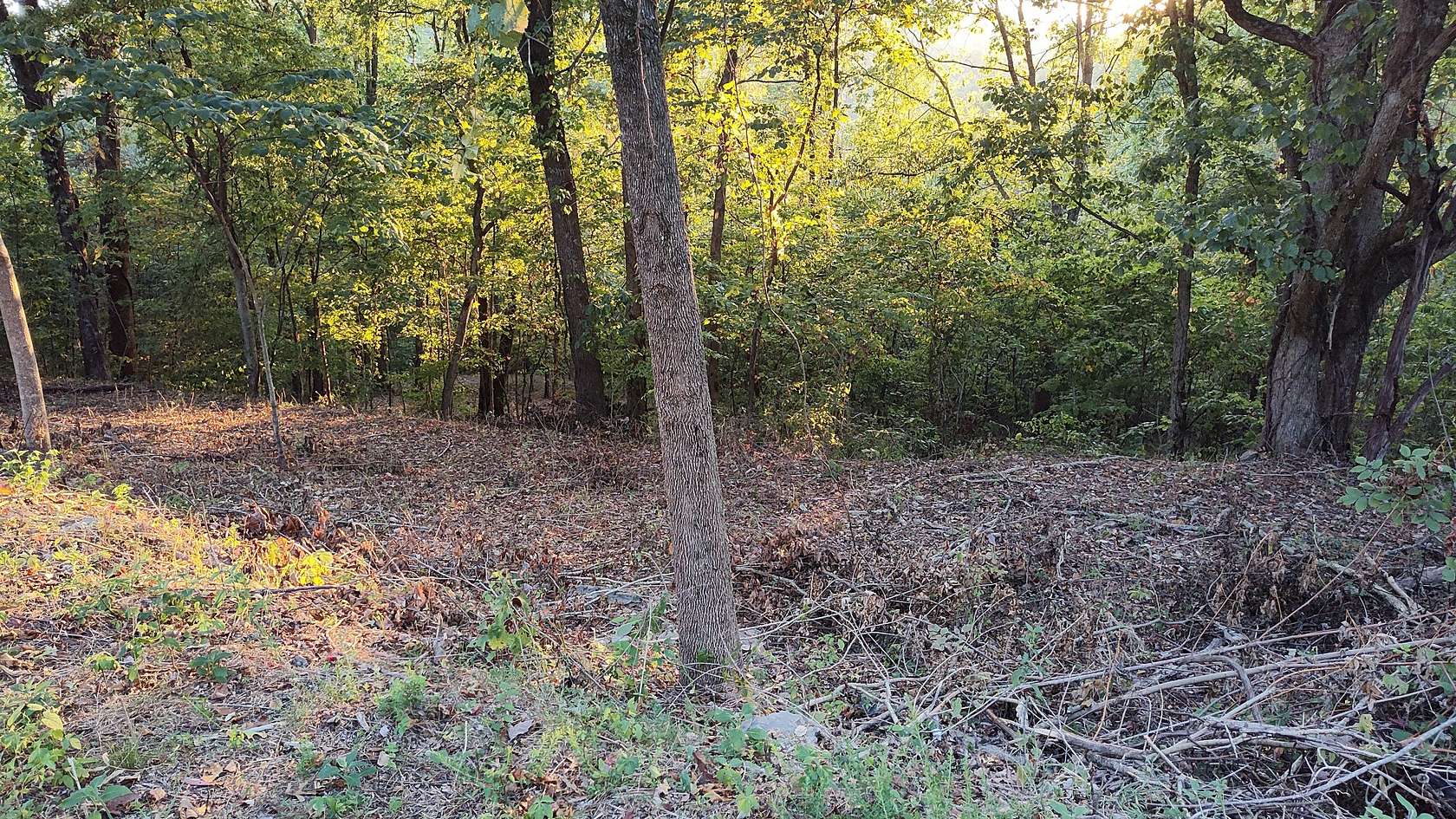 2 Acres of Residential Land for Sale in Silver Point, Tennessee