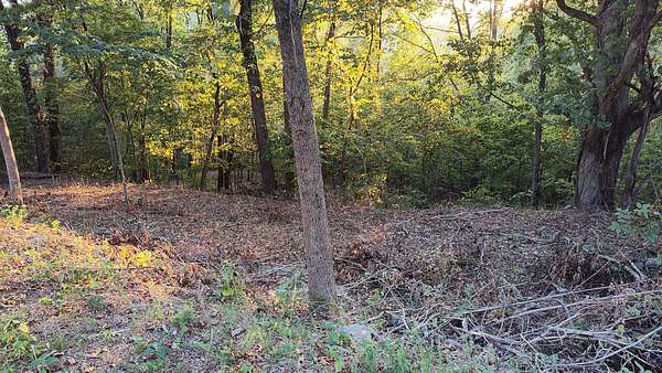 2 Acres of Residential Land for Sale in Silver Point, Tennessee