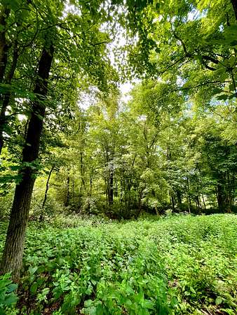 0.88 Acres of Residential Land for Sale in Brentwood, Tennessee