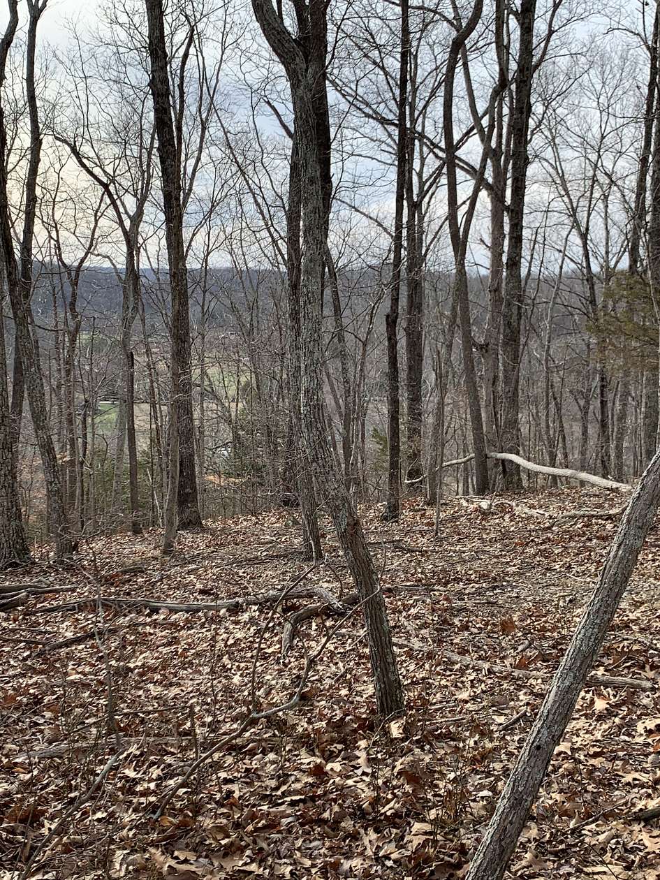 10 Acres of Residential Land for Sale in Nashville, Tennessee