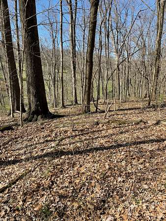 5 Acres of Residential Land for Sale in Franklin, Tennessee