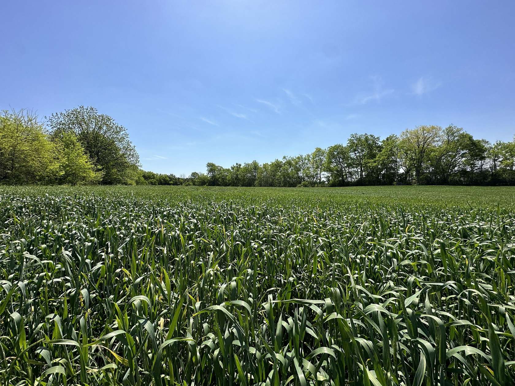 124 Acres of Land for Sale in Eagleville, Tennessee