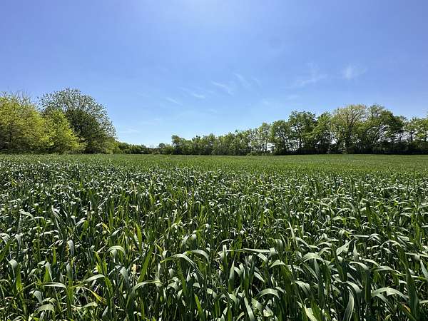 124 Acres of Land for Sale in Eagleville, Tennessee