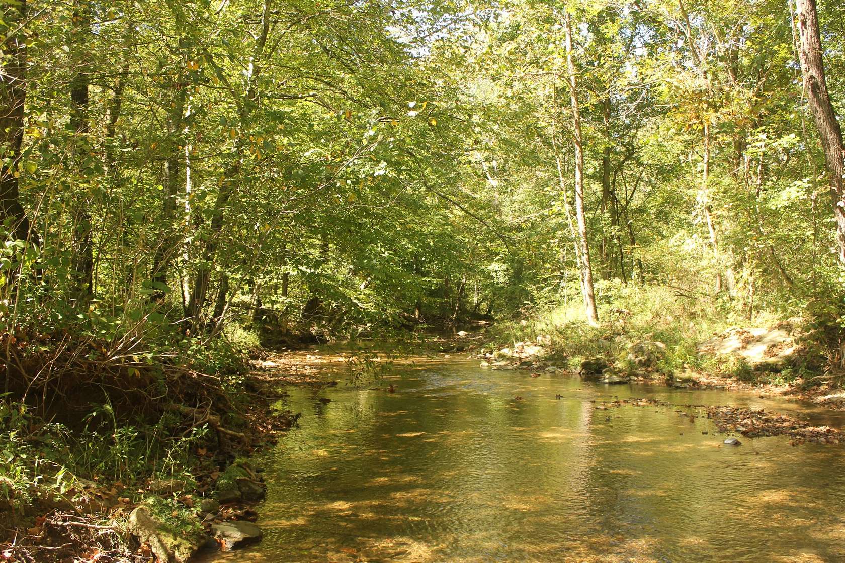 10.6 Acres of Recreational Land for Sale in Lafayette, Tennessee