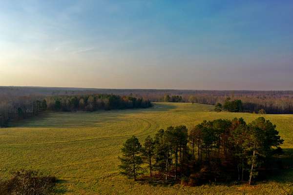 521 Acres of Recreational Land & Farm for Sale in Savannah, Tennessee