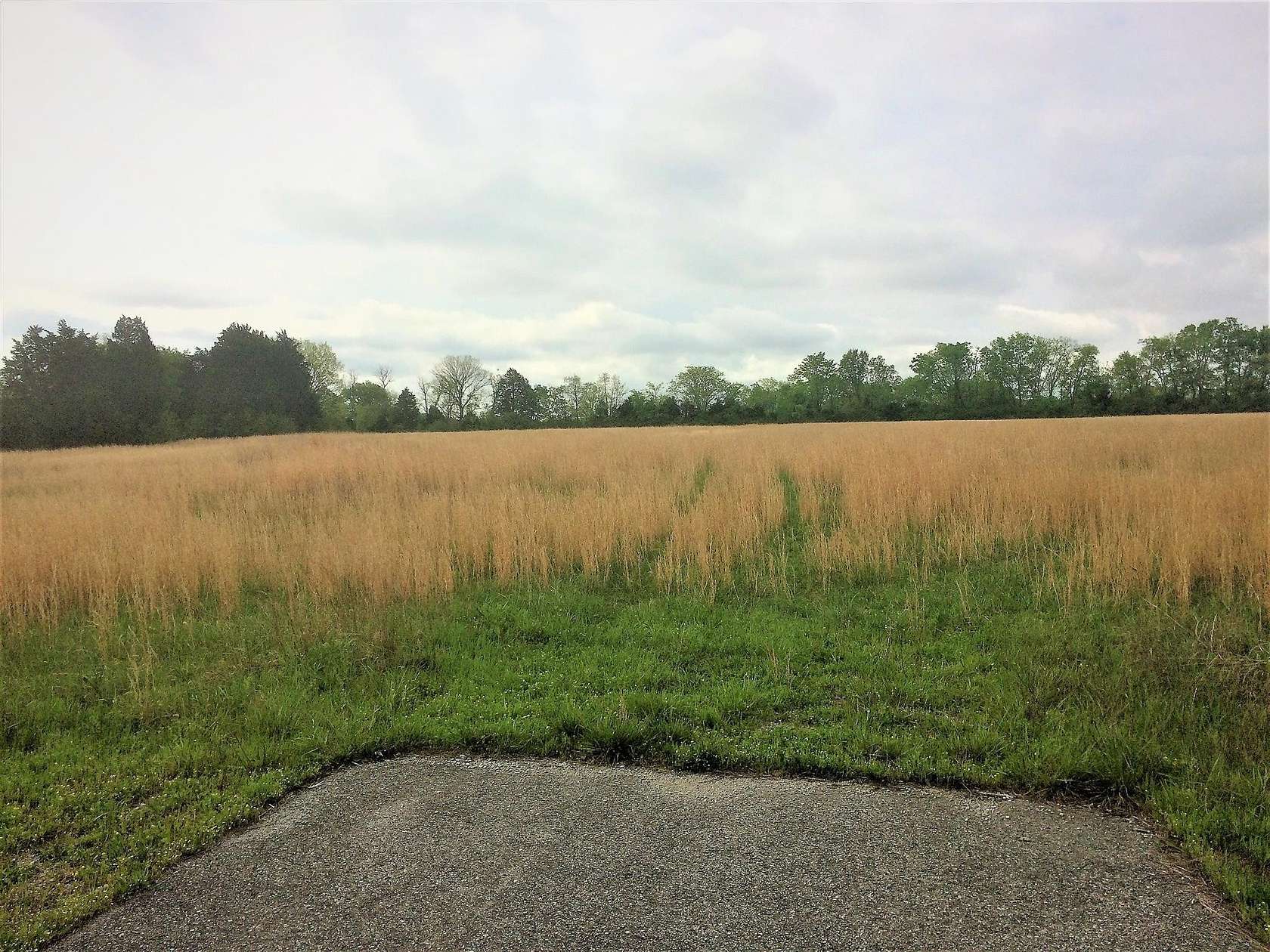 6 Acres of Mixed-Use Land for Sale in Lebanon, Tennessee