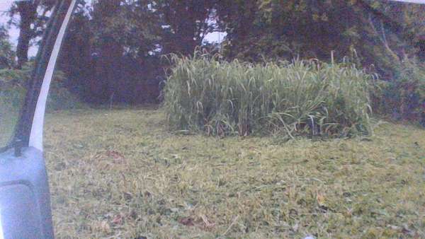 0.16 Acres of Residential Land for Sale in Memphis, Tennessee