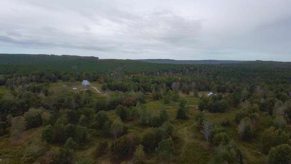 290 Acres of Agricultural Land for Sale in Tracy City, Tennessee