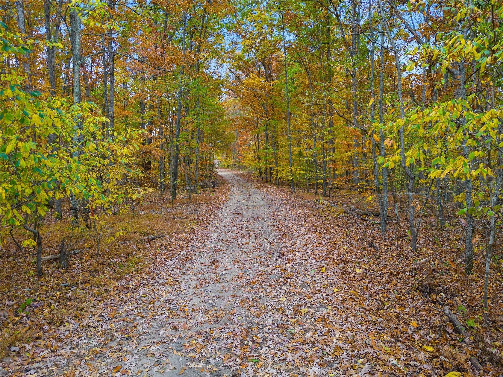 73 Acres of Recreational Land for Sale in Fairview, Tennessee