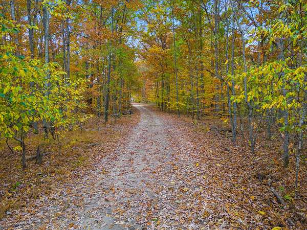 73 Acres of Recreational Land for Sale in Fairview, Tennessee