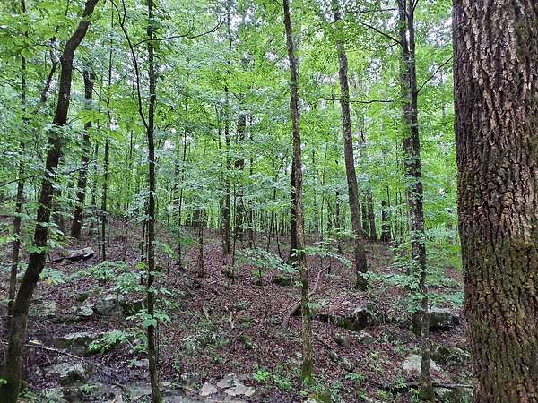 92.2 Acres of Recreational Land for Sale in Sherwood, Tennessee